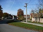 Třibřichy