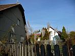 Třibřichy