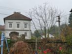 Třibřichy