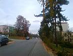 Borovina