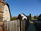 Třibřichy