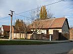 Třibřichy