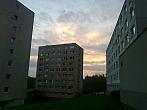 Borovina