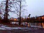 Borovina