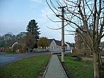 Třibřichy