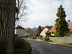 Třibřichy
