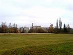 Borovina