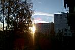 Borovina