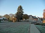 Třibřichy