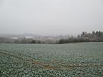 Borovina