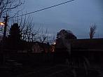 Třibřichy