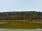 Vidov