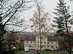 Borovina