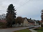 Třibřichy