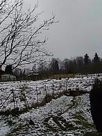 Skalité
