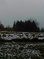 Skalité