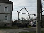 Třibřichy
