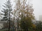 Borovina