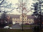 Borovina