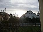 Třibřichy