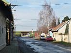 Třibřichy