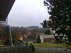 Borovina