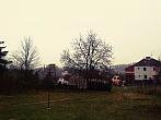 Borovina