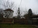 Třibřichy