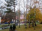 Borovina