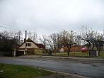 Třibřichy