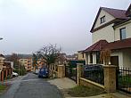 Borovina