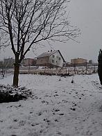 Skalité