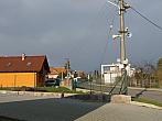 Třibřichy