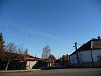 Třibřichy