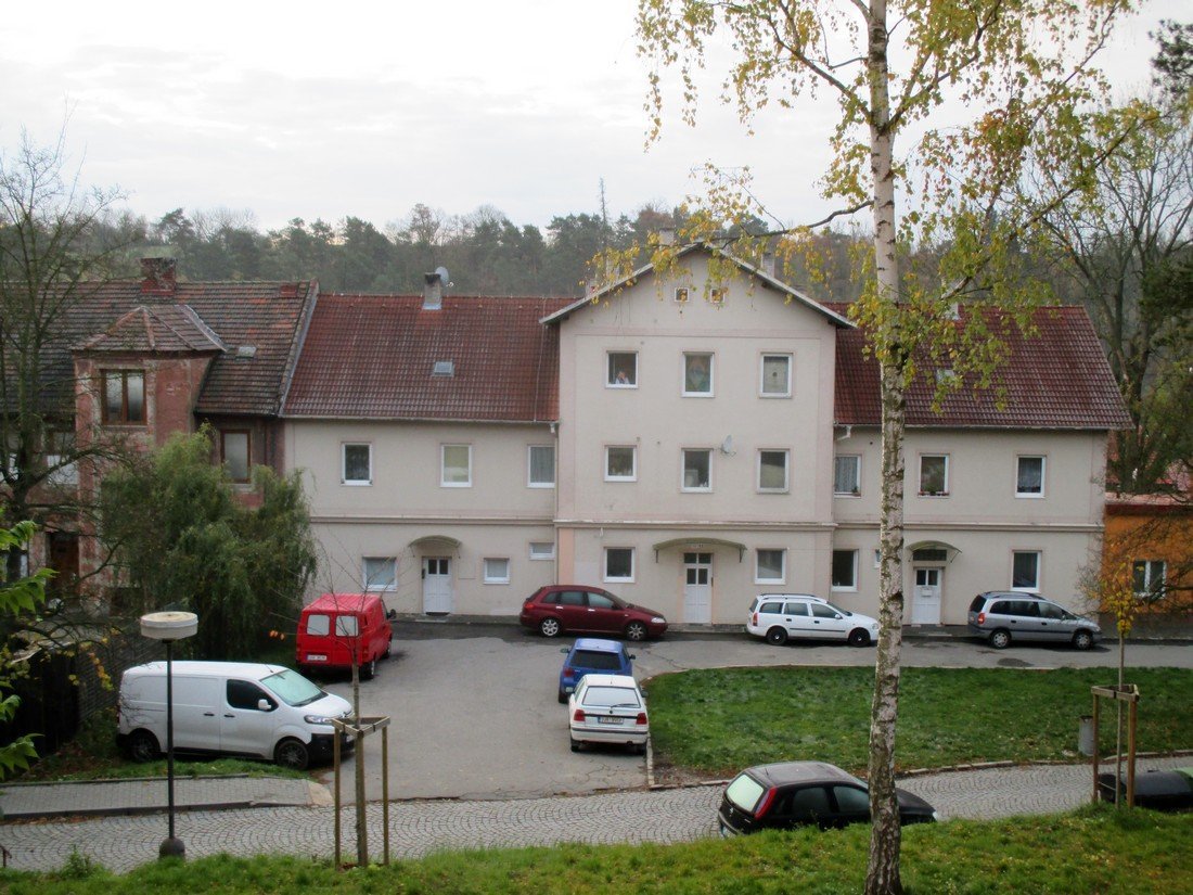 Borovina