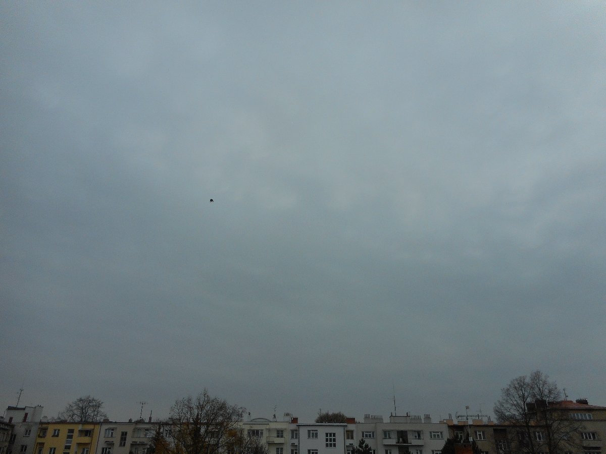 Hradec Králové