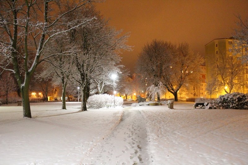 Toužim