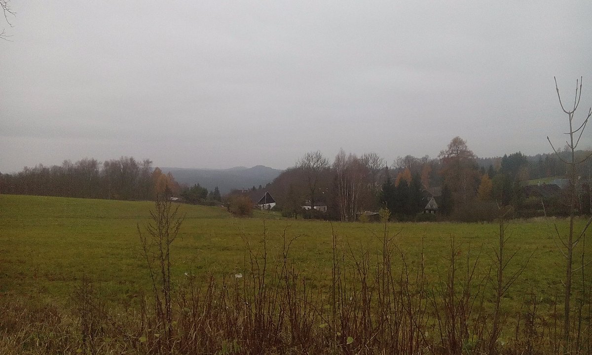 Sněžná