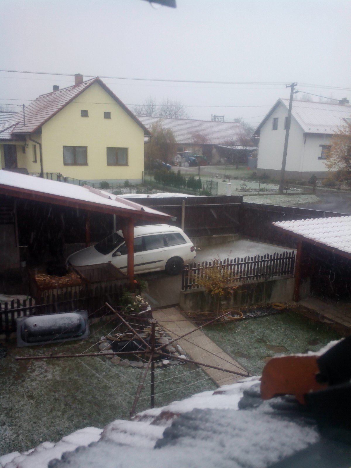 Rozsochy