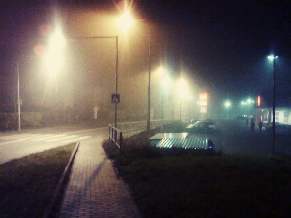 Borovina