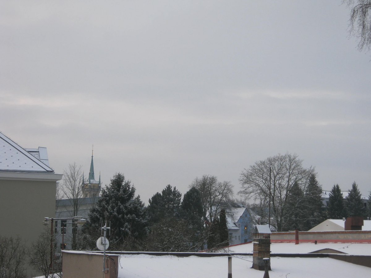 Polička
