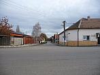 Třibřichy