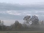 Tučapy