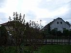 Třibřichy