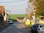 Třibřichy
