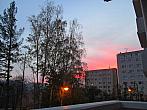 Borovina