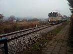 Borovina