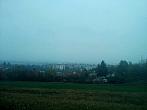 Borovina