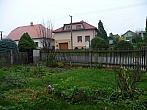 Třibřichy