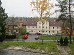 Borovina